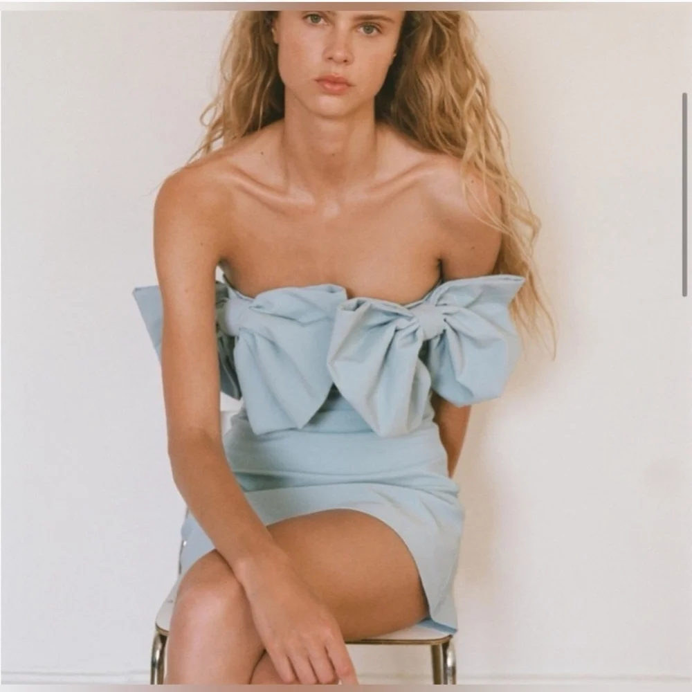 Zara NWT strapless bow dress Size XS